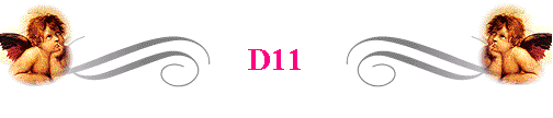  D11 