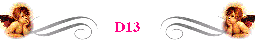  D13 
