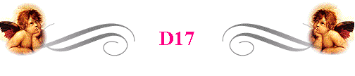  D17 