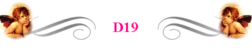 D19 
