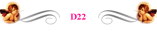  D22 
