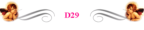  D29 